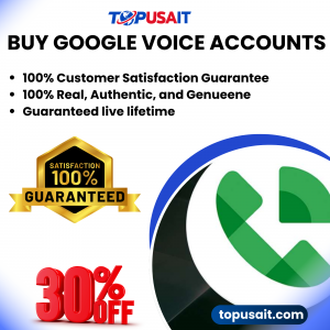 Buy Google Voice Accounts Solutions – TopUSAIT.com